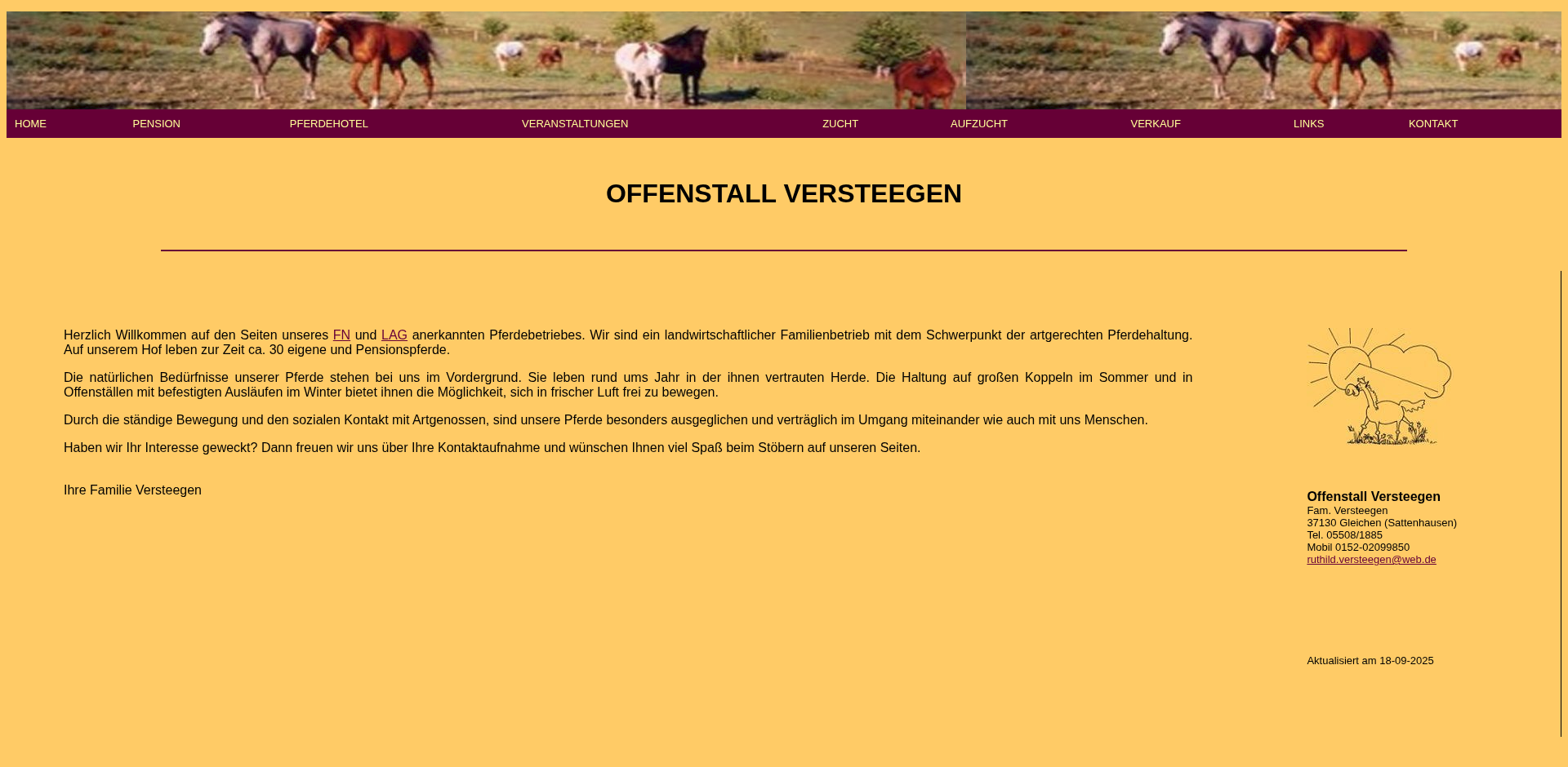 Alte Website von Offenstall Versteegen